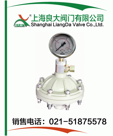 PP、PVDF脈沖阻尼器